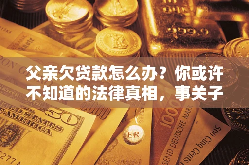 武汉父亲欠贷款怎么办？你或许不知道的法律真相，事关子女未来