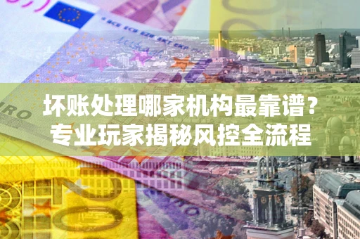 武汉坏账处理哪家机构最靠谱？专业玩家揭秘风控全流程