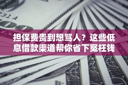 武汉担保费贵到想骂人？这些低息借款渠道帮你省下冤枉钱
