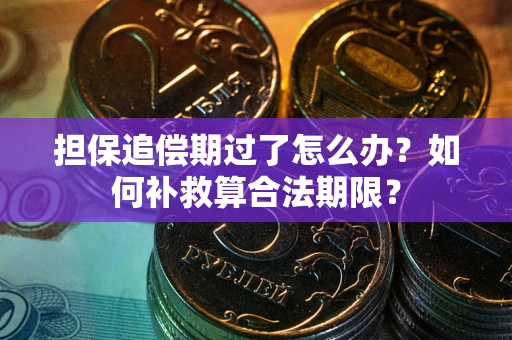 武汉担保追偿期过了怎么办？如何补救算合法期限？