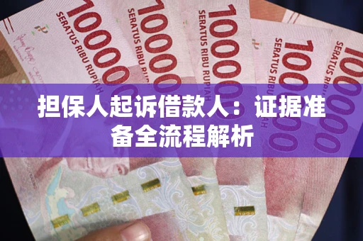 武汉担保人起诉借款人：证据准备全流程解析
