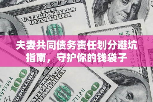 武汉夫妻共同债务责任划分避坑指南，守护你的钱袋子