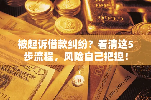 武汉被起诉借款纠纷？看清这5步流程，风险自己把控！