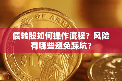 武汉债转股如何操作流程？风险有哪些避免踩坑？