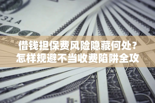 武汉借钱担保费风险隐藏何处？怎样规避不当收费陷阱全攻略！