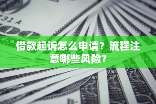武汉借款起诉怎么申请？流程注意哪些风险？