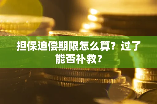 武汉担保追偿期限怎么算？过了能否补救？